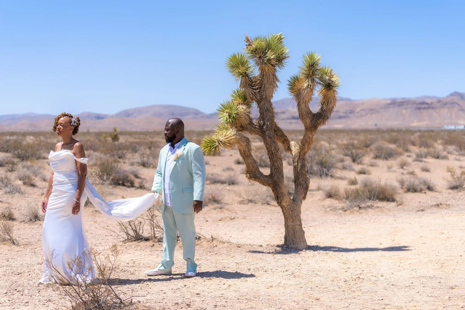 Las Vegas wedding photography — couple in wedding attire beside a Joshua tree